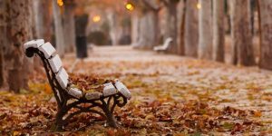 الخريف يتكلم..