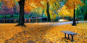 أيلول يحتضر وتشرين الحنين والمطر قادم