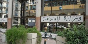 قصد كسر المضاربة ورفع الأسعار.. وزارة الفلاحة تفتح نقاطا خاصة لبيع الأضاحي