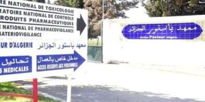 بعد التضارب حول مصدر الوباء.. معهد باستور ينفي تلوث الخضر والفواكه بفيروس الكوليرا