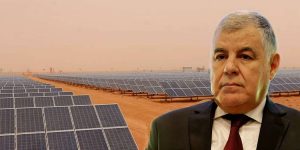 بطاقة 300 ميغاواط… محطة بشار  للطاقة الشمسية ستكون الأكبر في إفريقيا