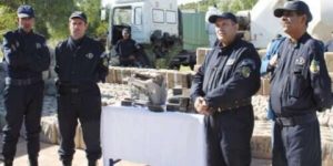  خلال سنة 2018… أمن ولايات الوسط حجز  أزيد من 800 كلغ من القنب الهندي