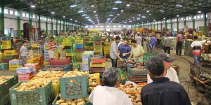 معسكر تتدعم بسوق الجملة للخضر والفواكه