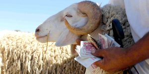 ارتفاع سعر الأضاحي يصدم الجزائريين ويحرم الكثيرين من أداء السنّة