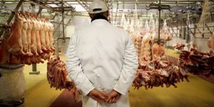 زيتوني: برنامج استثنائي لاستيراد اللحوم الحمراء والبيضاء تحسبا لشهر رمضان