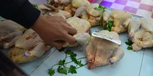 ضخ كميات معتبرة من مخزون اللحوم البيضاء في السوق الوطنية