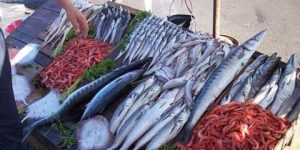 جيجل.. لجنة ولائية لضبط السوق ومنع المضاربة في أسعار السمك