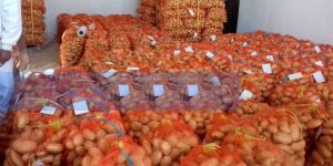 خمس نقاط بيع للبطاطا بالدرارية لمواجهة المضاربة