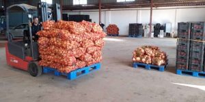 قالمة.. تخزين 12 ألف قنطار من البطاطا الموجهة للاستهلاك بغرف التبريد