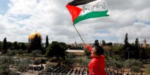 زهـرة الـمـدائـن