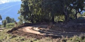 الانطلاق في تهيئة 58 كلم من المسالك الغابية بالبليدة 