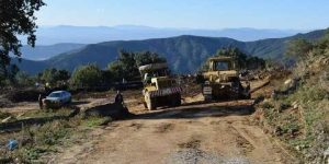 تلمسان.. تخصيص 266 مليون دج لإنجاز عدة أشغال غابية