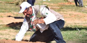 البيض.. غرس أزيد من 3.000 شجيرة بالمحرة وسيدي طيفور