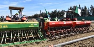 عين الدفلى.. 691 هكتار لزراعة دوار الشمس و السلجم الزيتي