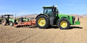  تخصيص ما يقارب 66 ألف هكتار لزراعة الحبوب ببرج بوعريريج