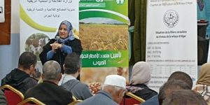 نحو مرافقة مهنيي شعبة الحبوب بالعاصمة 