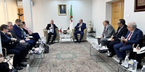 فريق عمل مشترك لتعزيز التعاون الصناعي بين الجزائر والتشيك