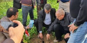 أول مستثمرة زراعية رقمية بزرالدة 