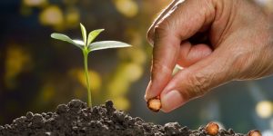 سؤال وجواب.. لماذا بارك الله في أول النهار ؟