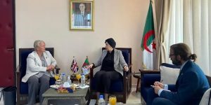 مباحثات حول تعليم الإنجليزية بمعاهد ومدراس قطاع الثقافة والفنون  