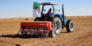 المسيلة.. استهداف زراعة 64 ألف هكتار من بذور الحبوب