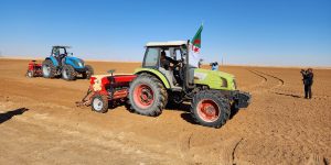 أكثر من 3 آلاف هكتار لزراعة الحبوب بأولاد جلال