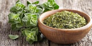 صحتنا في غذائنا.. هل الزعتر يخفف حدة السعال؟