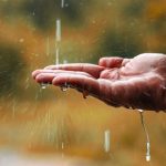 حاجتنا إلى الغيث