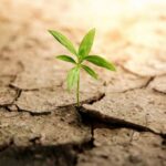 كيف نزيل أسباب القحط ؟