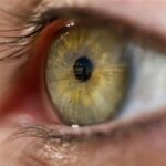 سنريهم آياتنا في الآفاق .. لون العينين