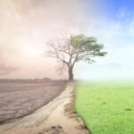 سنريهم آياتنا في الآفاق.. التغيرات المناخية في نصوص القرآن والسنة