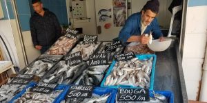 مستغانم.. إنتاج ما يفوق 7300 طن من مختلف أنواع الأسماك خلال 11 شهرا