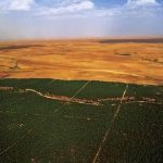 إعادة تأهيل السد الأخضر.. نحو فتح 515 كلم من المسالك وإنجاز91 بئرًا أرتوازيًا بحلول 2030