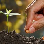 الحياة فرصة لا تعوض