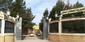 قطاع الصحة ينتعش بالبيض