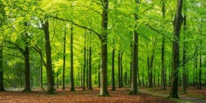 سنريهم آياتنا في الآفاق.. الأرض أشبه بكائن حي