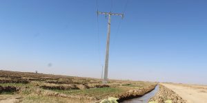 وهران.. ربط 80 مستثمرة فلاحية بشبكة الكهرباء