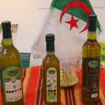 الطارف.. إنتاج أزيد من 900 ألف لتر من زيت الزيتون