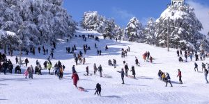  توافد أكثر من نصف مليون زائر على أعالي الشريعة