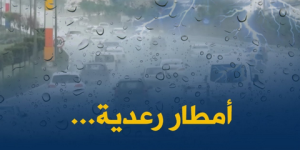 أمطار رعدية على عدة ولايات من الوطن