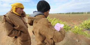 بومرداس.. قرابة 4400 مستثمر و متعامل استفادوا من عقود الامتياز الفلاحي