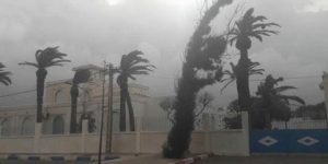 رياح قوية في هذه الولايات غدا