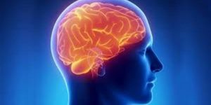 جديد الطب.. إصابة أصغر حالة بمرض الزهايمر في العالم