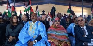 حفيد الزعيم الأفريقي نيلسون مانديلا يحظى باستقبال رسمي بولاية بوجدور