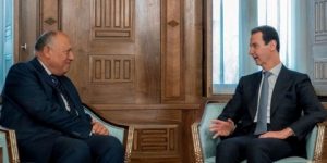 الأسد يستقبل وزير الخارجية المصري