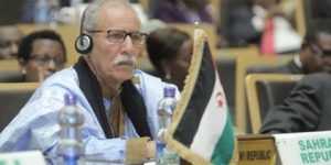 رئيس الجمهورية الصحراوية يؤكد تمسكه بخطة التسوية الأممية الأفريقية