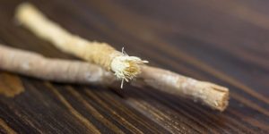 سنريهم آياتنا في الآفاق… الغرب يشجع على السواك