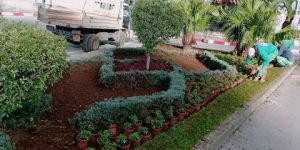 معاينة اشغال الاعتناء بالمحيط وتحسين الوجه الجمالي لبئر توتة