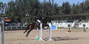 البطولة الوطنية للحاق والقدرة ببراقي.. 50 فارسا في الموعد