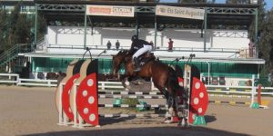 تتويج الفارس آيت لونيس بالجائزة الكبرى